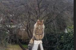 开云体育APP下载-新疆队史诗级胜利！布克制胜表现粉碎马刺不败神话