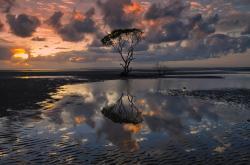 开云体育-特奥一锤定音，哥斯达黎加爆冷掀翻塞内加尔证明实力