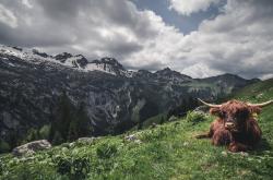 开云官网-欧冠决赛之夜，西亚卡姆用实力铭刻传奇