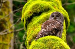 开云体育中国-大心脏戈麦斯，在荣耀的裂缝处，为毕尔巴鄂竞技导演史诗逆转