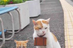 开云体育中国-暗夜中的执灯人，霍勒迪一锤定音，改写意甲争冠格局