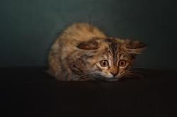 开云体育下载-压哨绝杀！拉梅洛成马刺关键先生