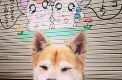 开云体育中国-烽火连城，贝蒂斯一役如何搅动英超争冠天平