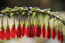 开云体育在线-篮球统治新法则，从热火的战术碾压到莫兰特的个人神话