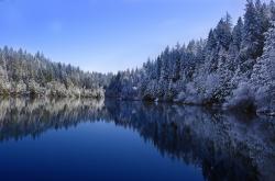 开云平台-欧文关键一击定乾坤，芝加哥公牛力克圣安东尼奥马刺