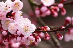 开云体育APP下载-绝境之王！苏亚雷斯抢七夜一剑封喉，改写历史