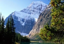 开云体育下载-戴维斯杯逆转年终总决赛，梅德韦杰夫关键制胜