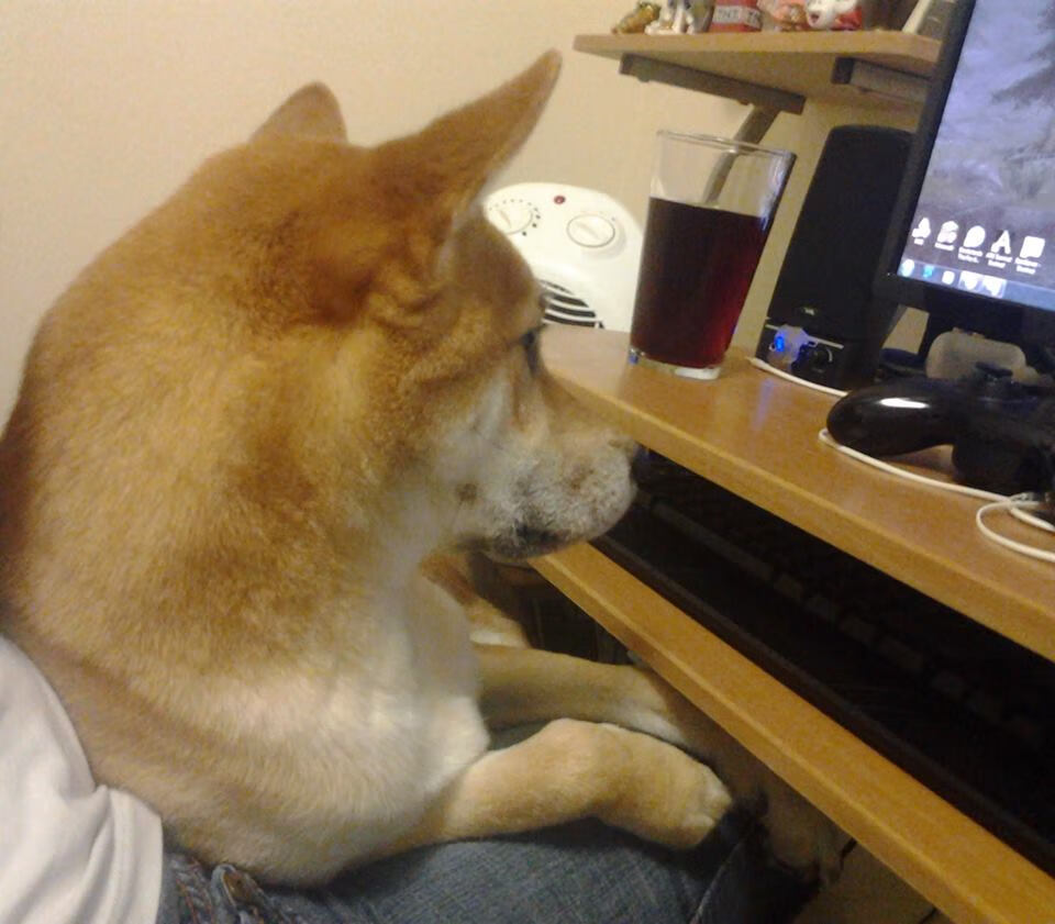 米切尔，不只是关键先生，更是魔术的定海神针