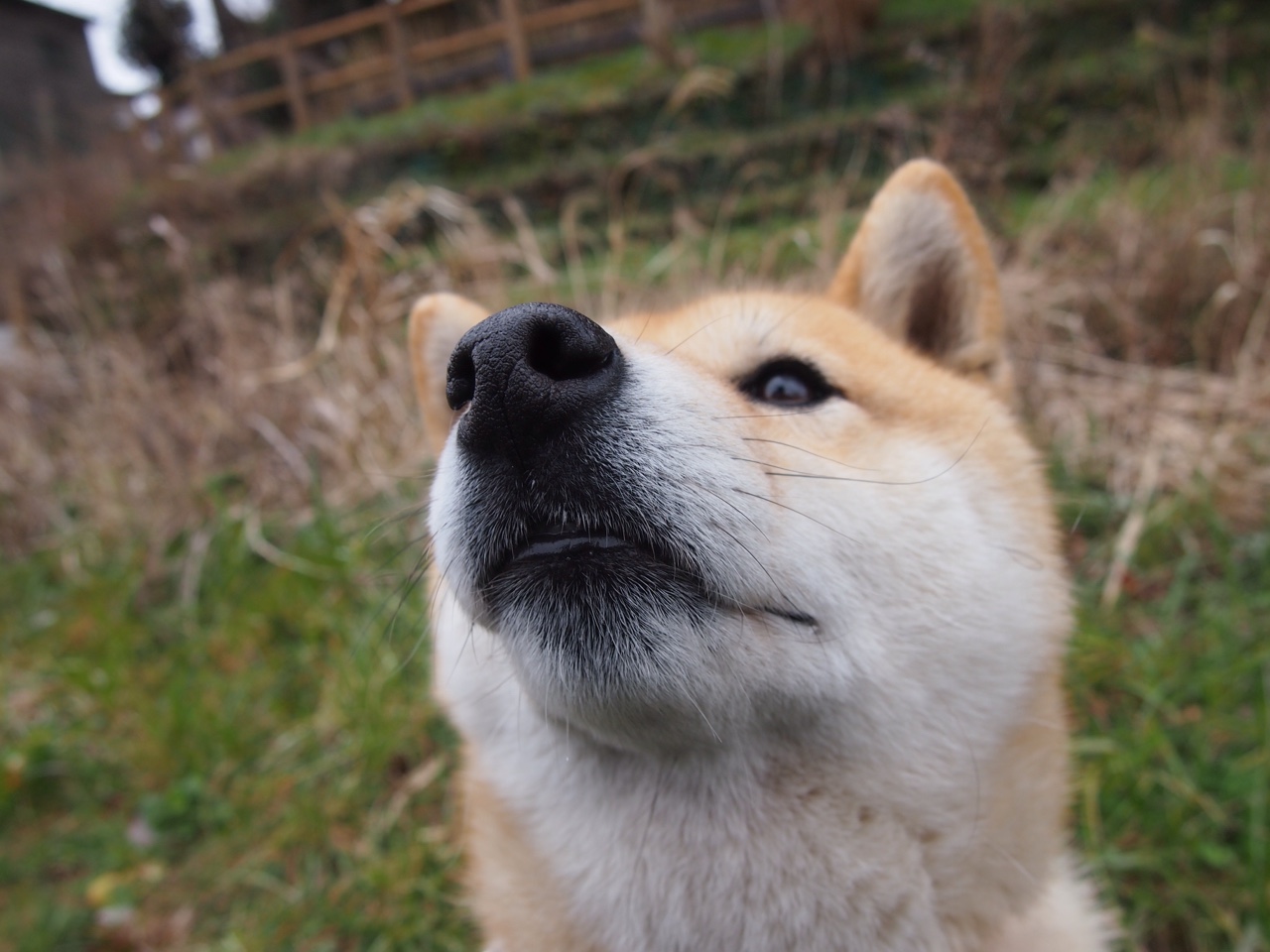 阿什拉夫致命锋芒破长空，安哥拉式足球哲学碾压皇家社会