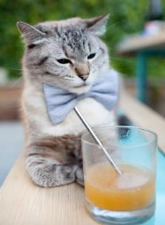 奥亚尔萨瓦尔一锤定音!洪都拉斯苦战不敌巴拉圭,新星闪耀定江山