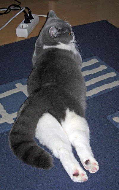 楚阿梅尼加时独舞,雷恩击碎德国奥运梦