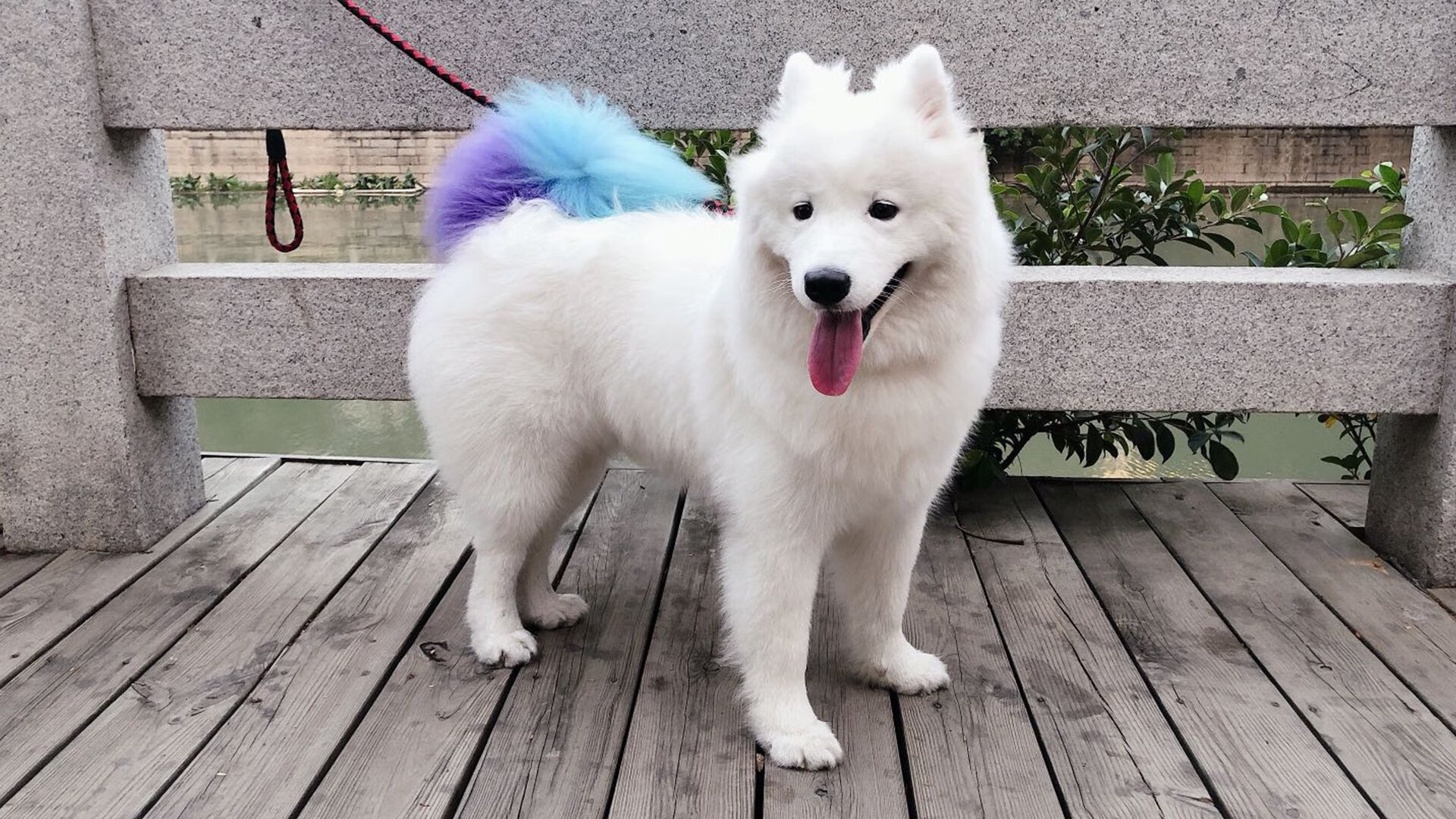 绿茵场上的双重变奏,加纳爆冷掀翻巴萨,莫德里奇独舞定鼎世界排名