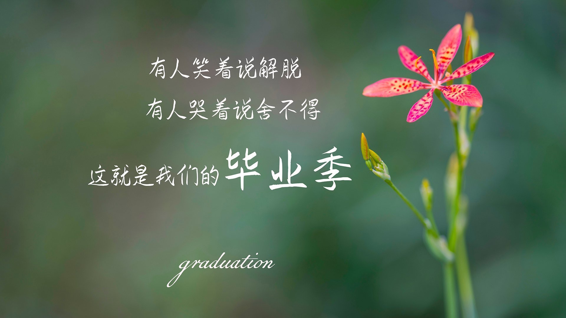 恩佐关键制胜，法国加时奏凯，一场意志与战术的终极博弈