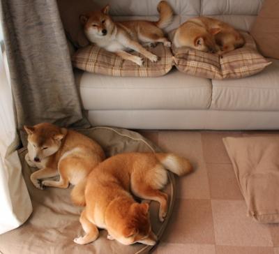 东方勇士遭遇浙江铁军,詹姆斯式大场面先生主宰胜负