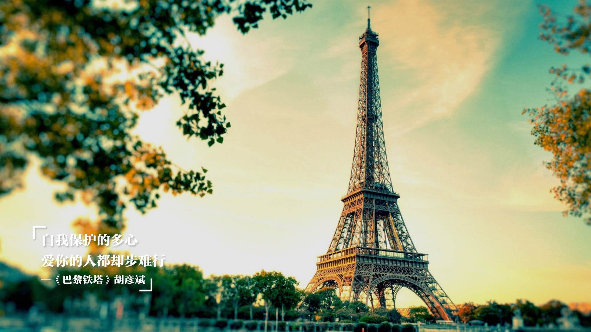 狂轰42分价值连城，福克斯一己之力撕裂吉林，太阳主场高奏凯歌