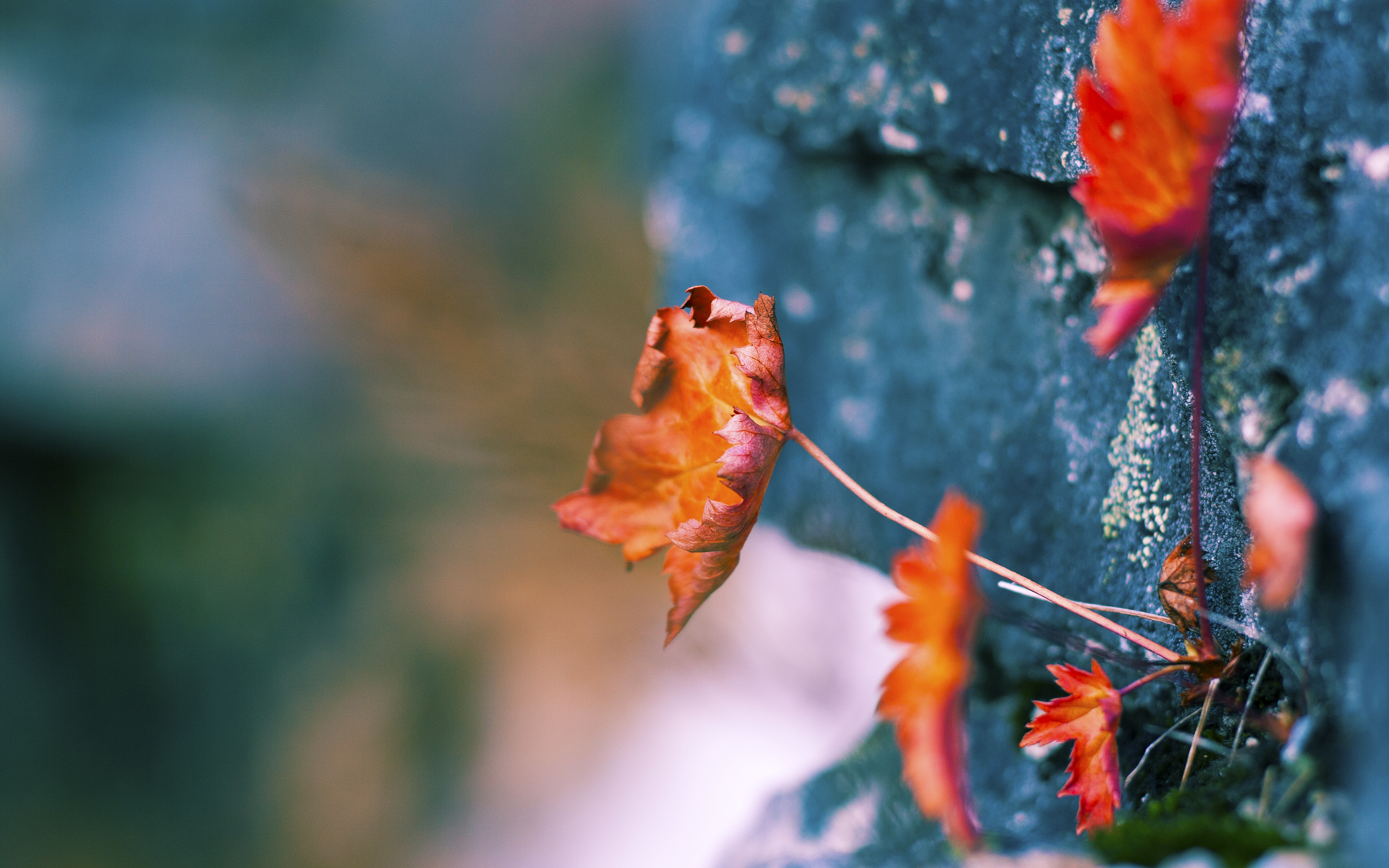欧文末节19分逆转乾坤！76人五虎合砍102分击溃猛龙