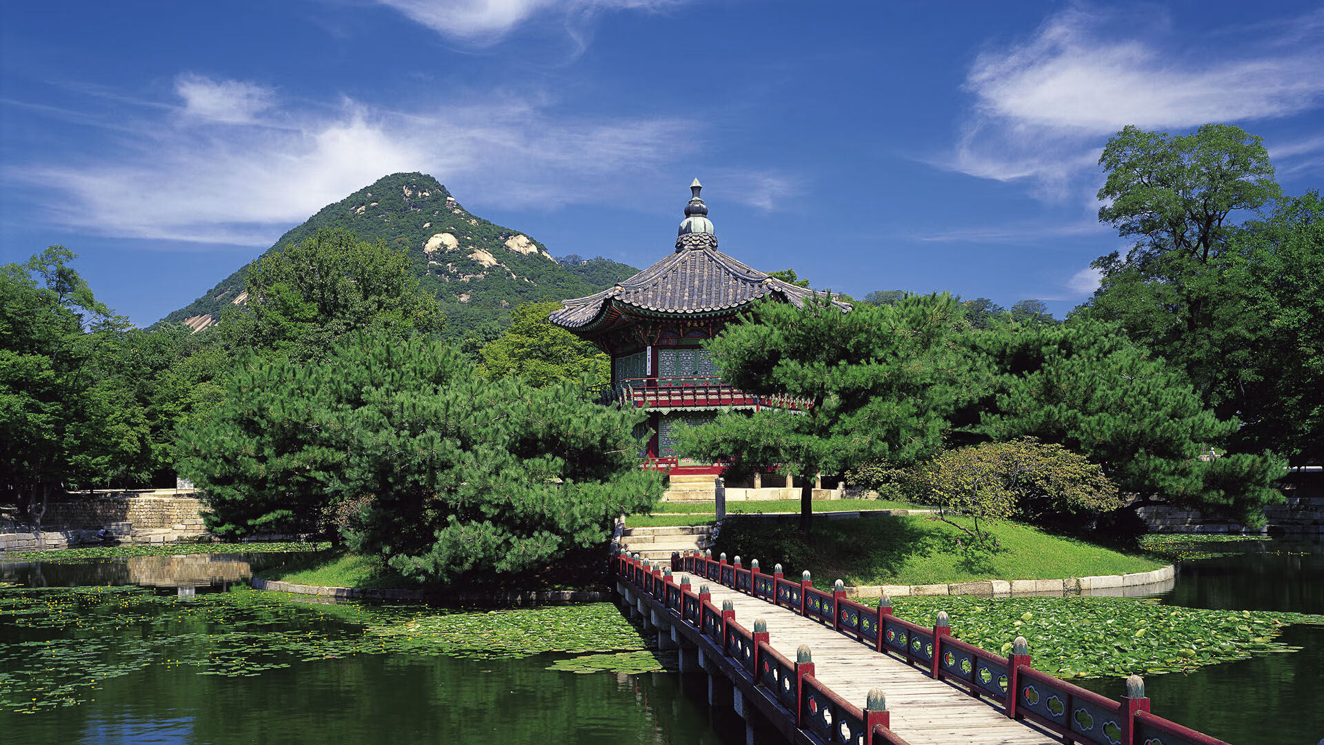 荷兰风暴席卷皇家社会，维尼修斯一锤定音成皇马关键先生