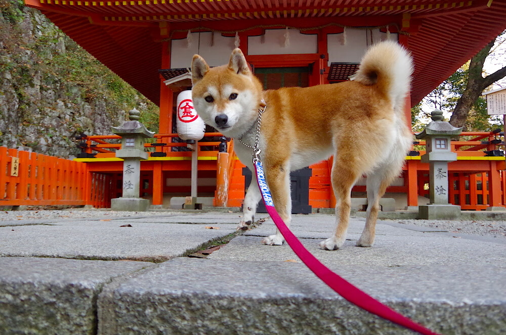 错乱的焦点,当国家德比遇上卡塔尔的狂胜,足球世界正在重绘版图