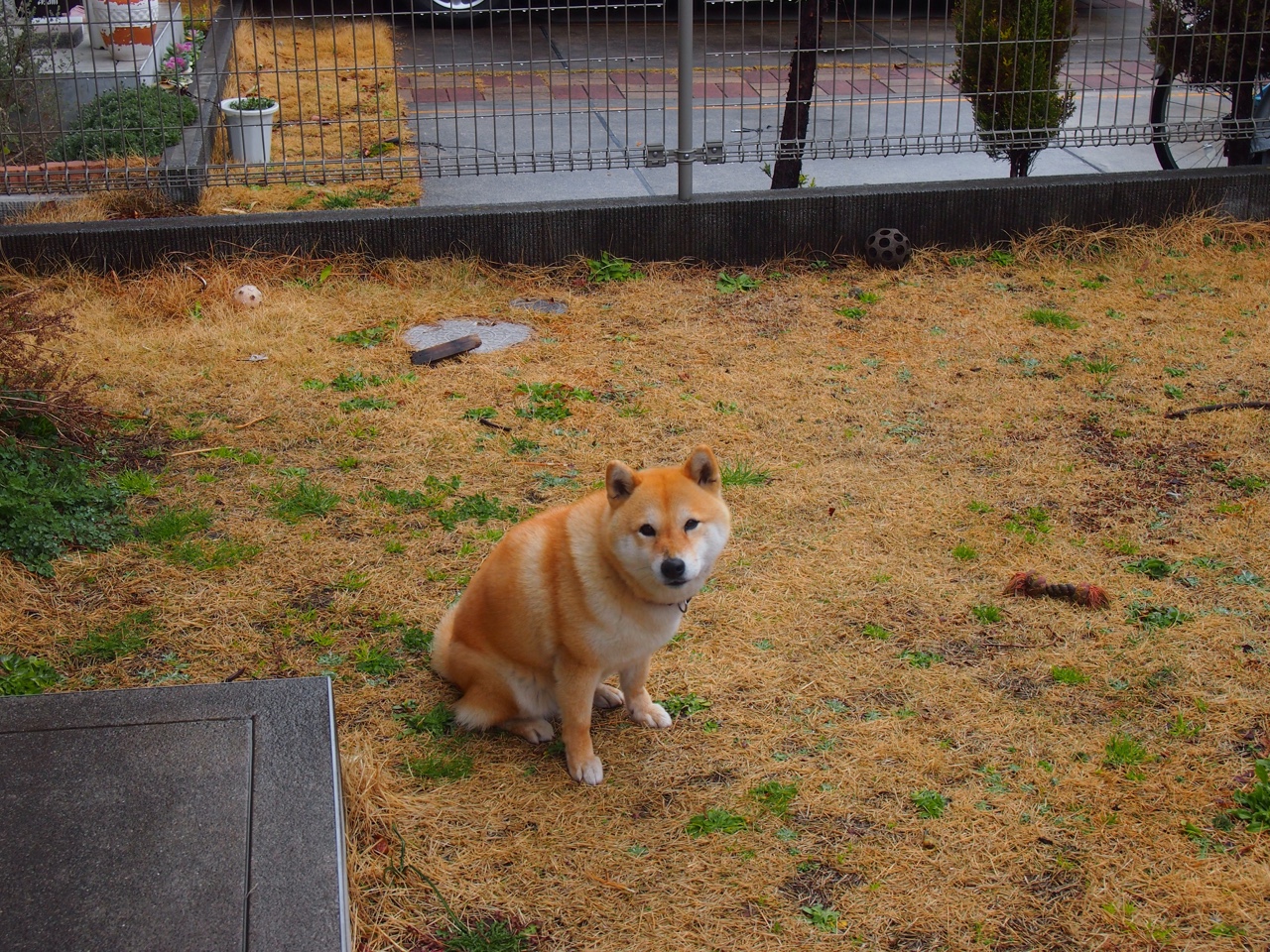 德布劳内爆发闪耀欧洲足坛，英格兰力克摩洛哥晋级世界杯