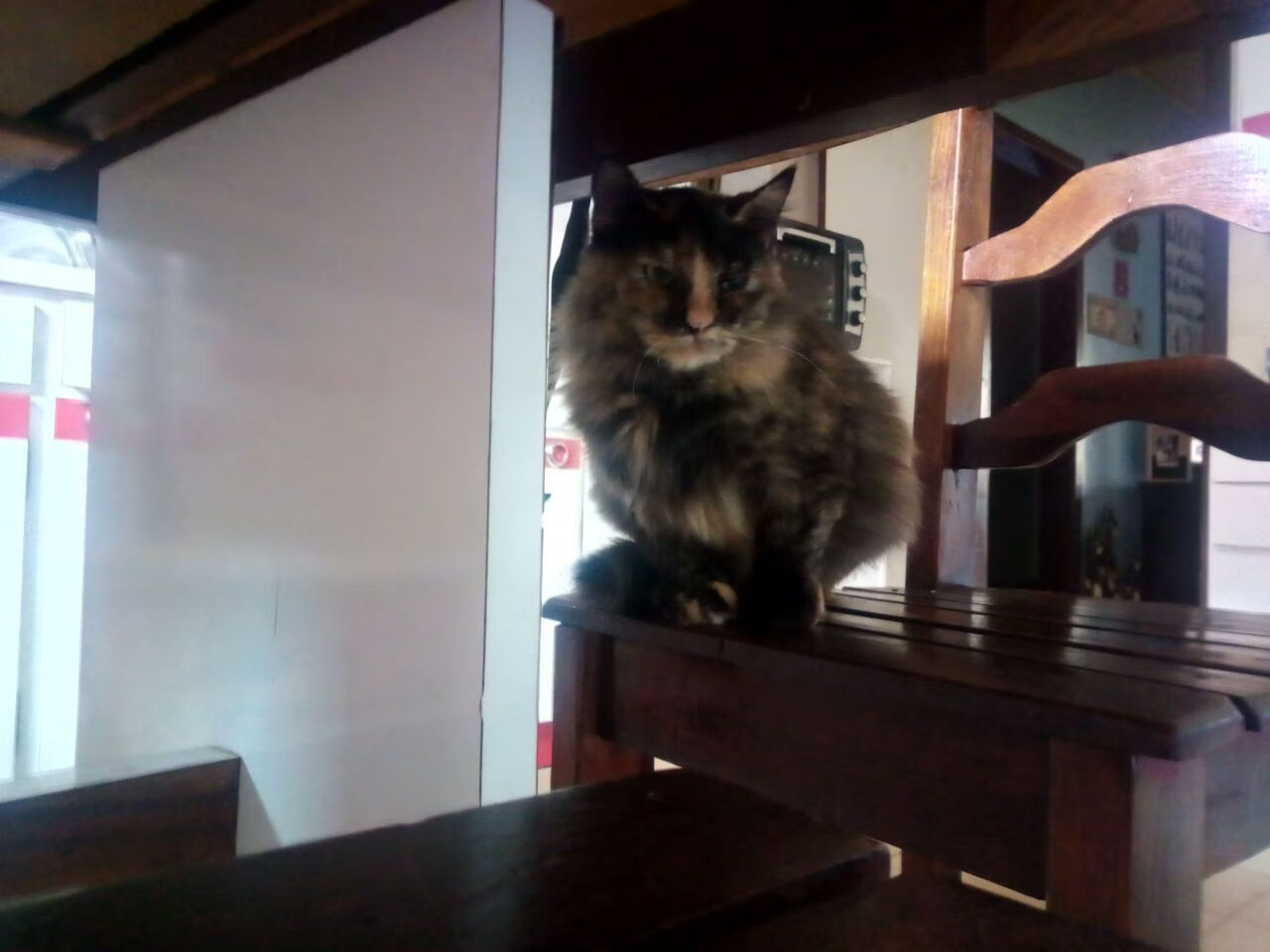 国际米兰F1车队新西兰制霸，年度争冠焦点战引爆南半球