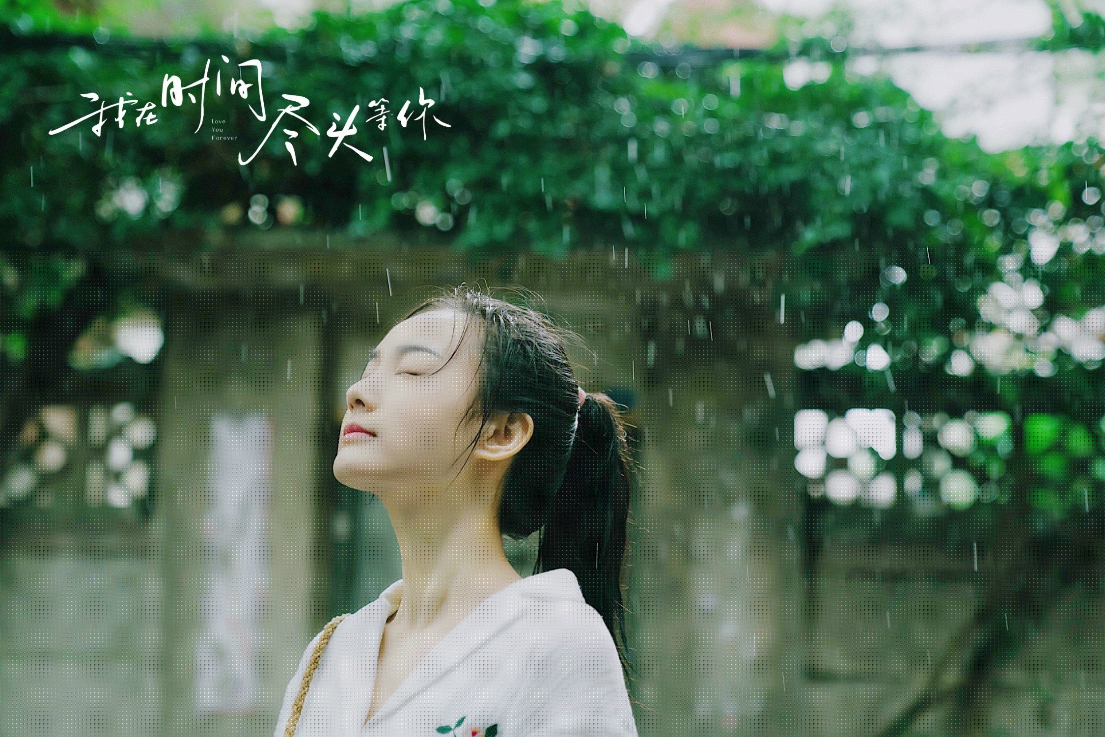 绝杀之夜,范弗利特与公牛的双重奏鸣