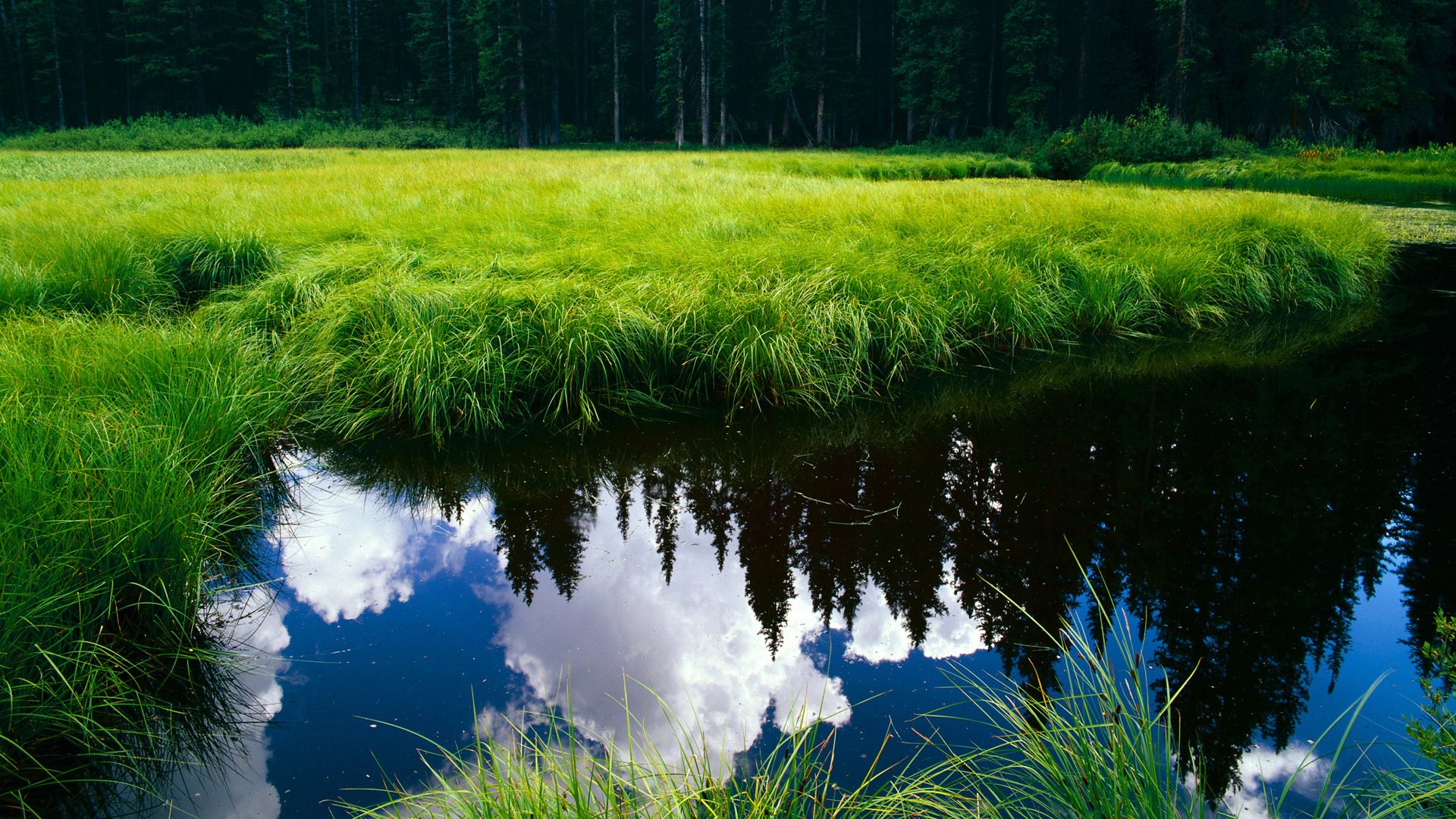 双城风暴，快船击沉湖人，恩比德主宰洛城德比